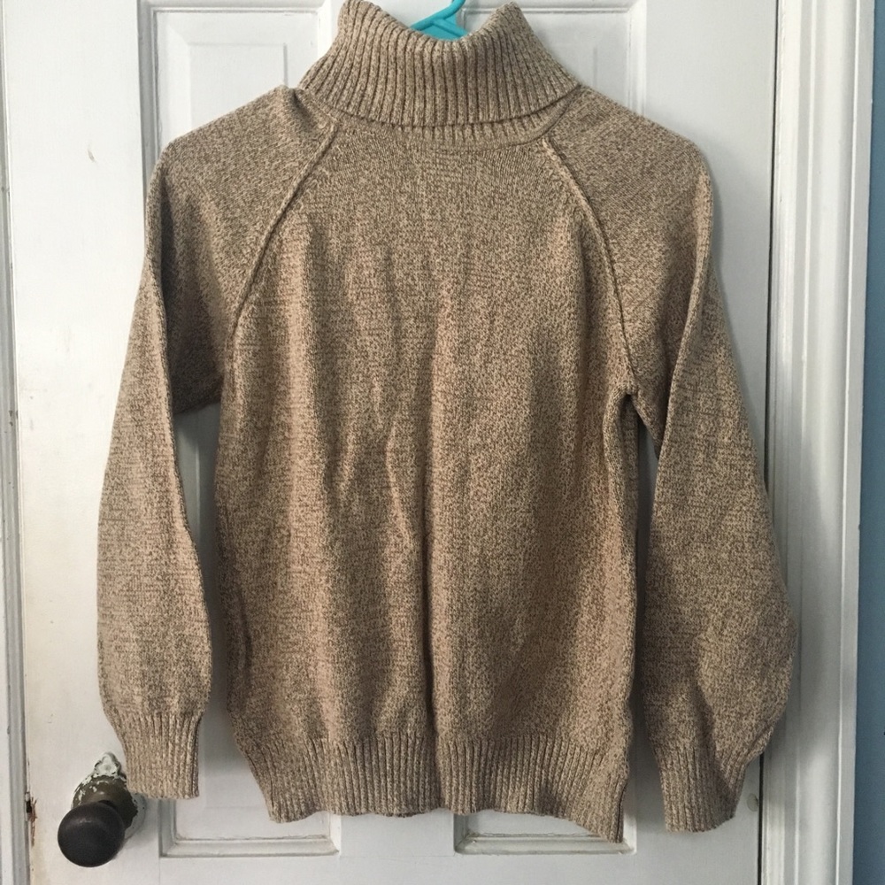 Karen Scott Turtleneck